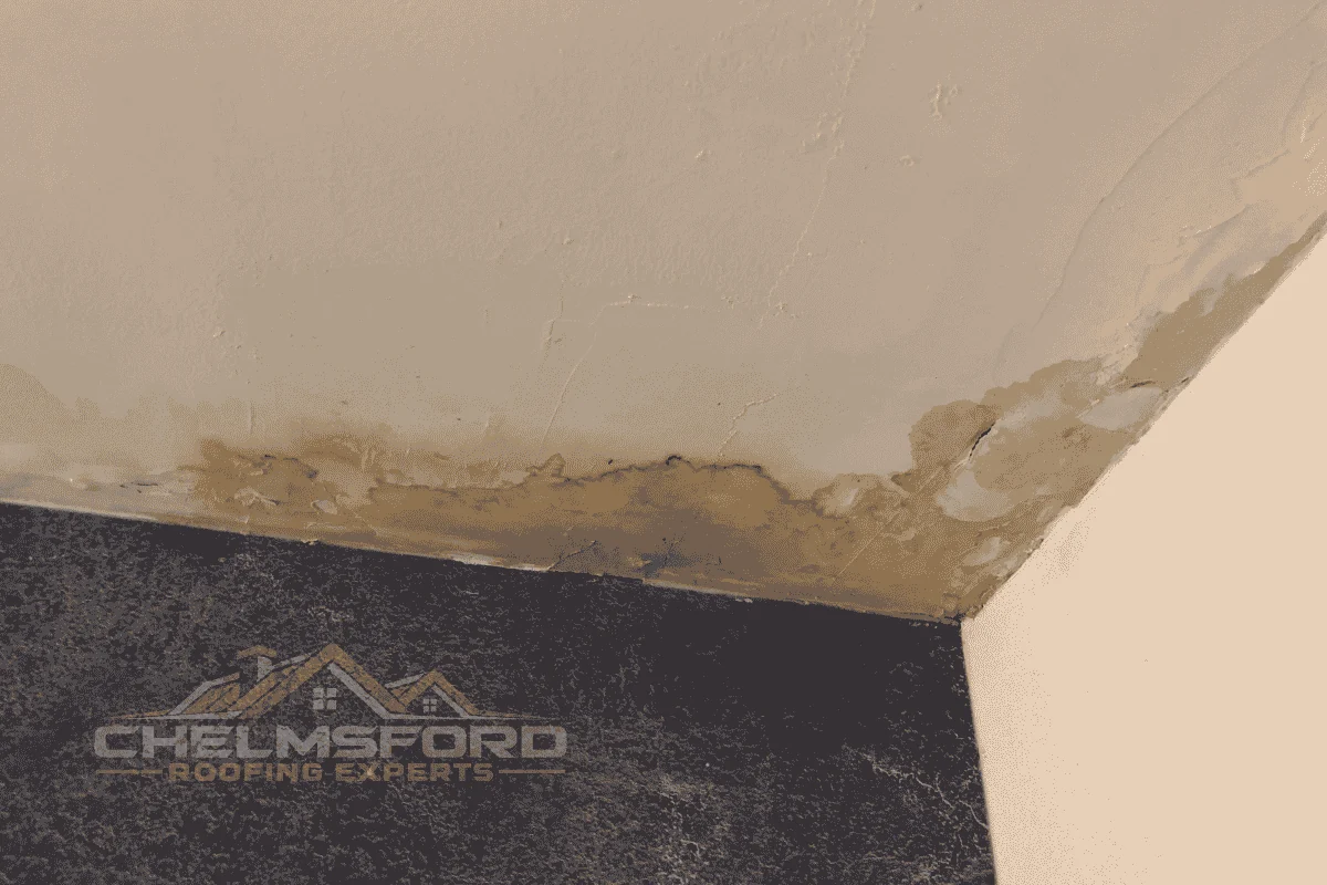 Water staining and damaged plaster around an internal ceiling corner